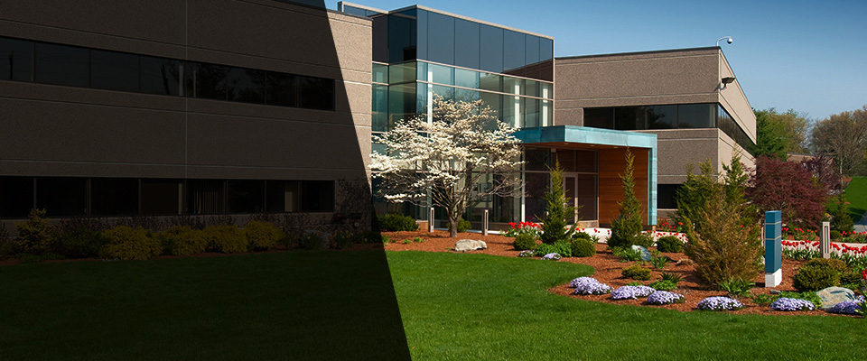 Springville Landscapers