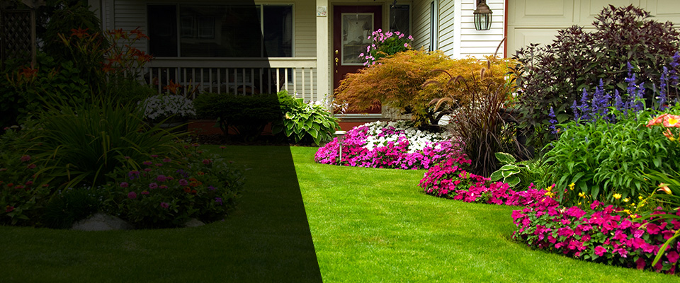 Springville Landscapers