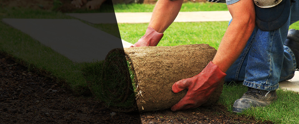 Springville Landscapers